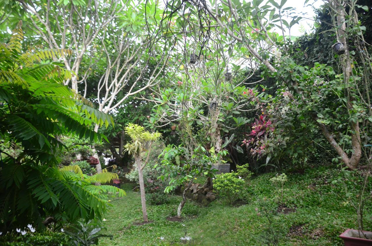 Banyu Homestay Banyuwangi  Exterior foto
