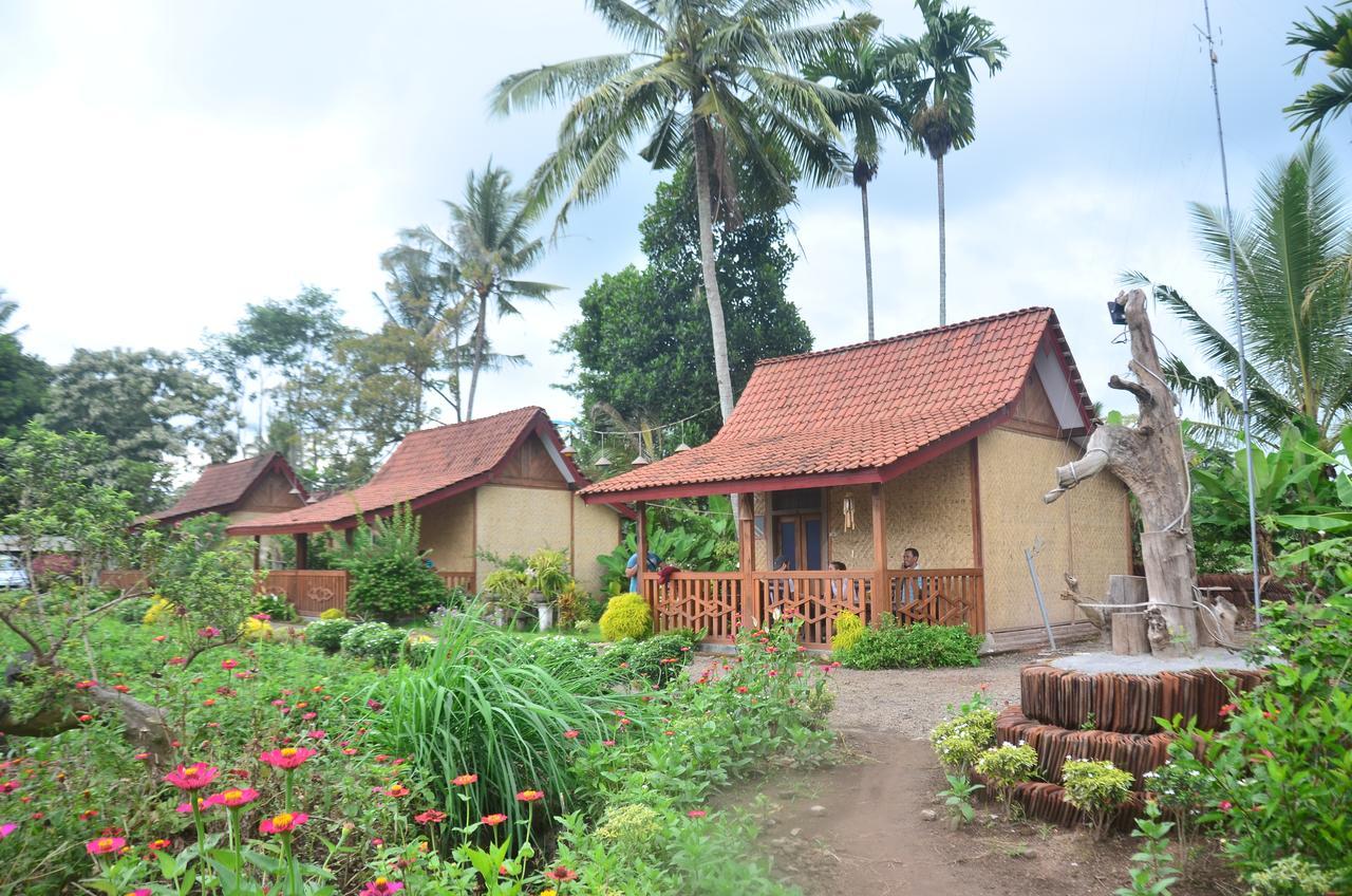 Banyu Homestay Banyuwangi  Exterior foto