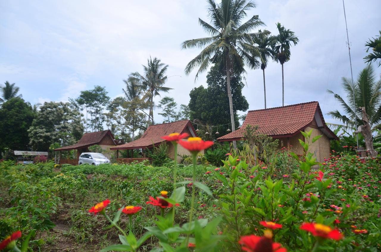 Banyu Homestay Banyuwangi  Exterior foto