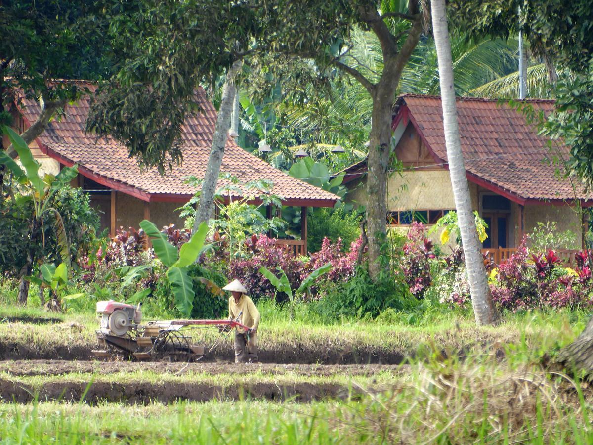 Banyu Homestay Banyuwangi  Exterior foto